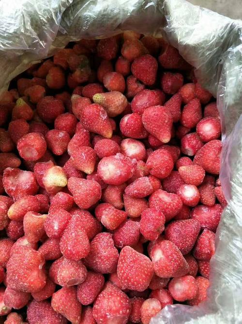 食用农产品原产地山东特色无公害农产品糖度25-30度口味口感口感草莓
